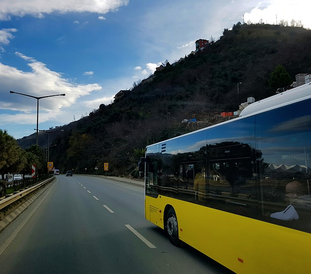 autobus na drodze