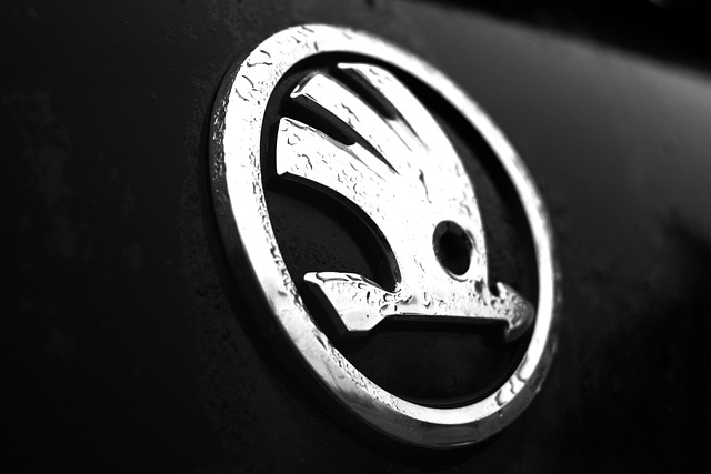logo Skody